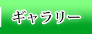 ギャラリー
